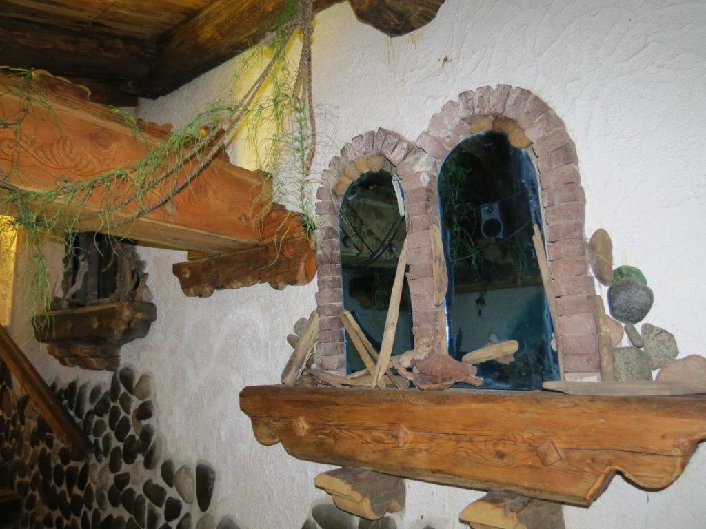 Hotel Ancora Castello–Molina di Fiemme Kültér fotó