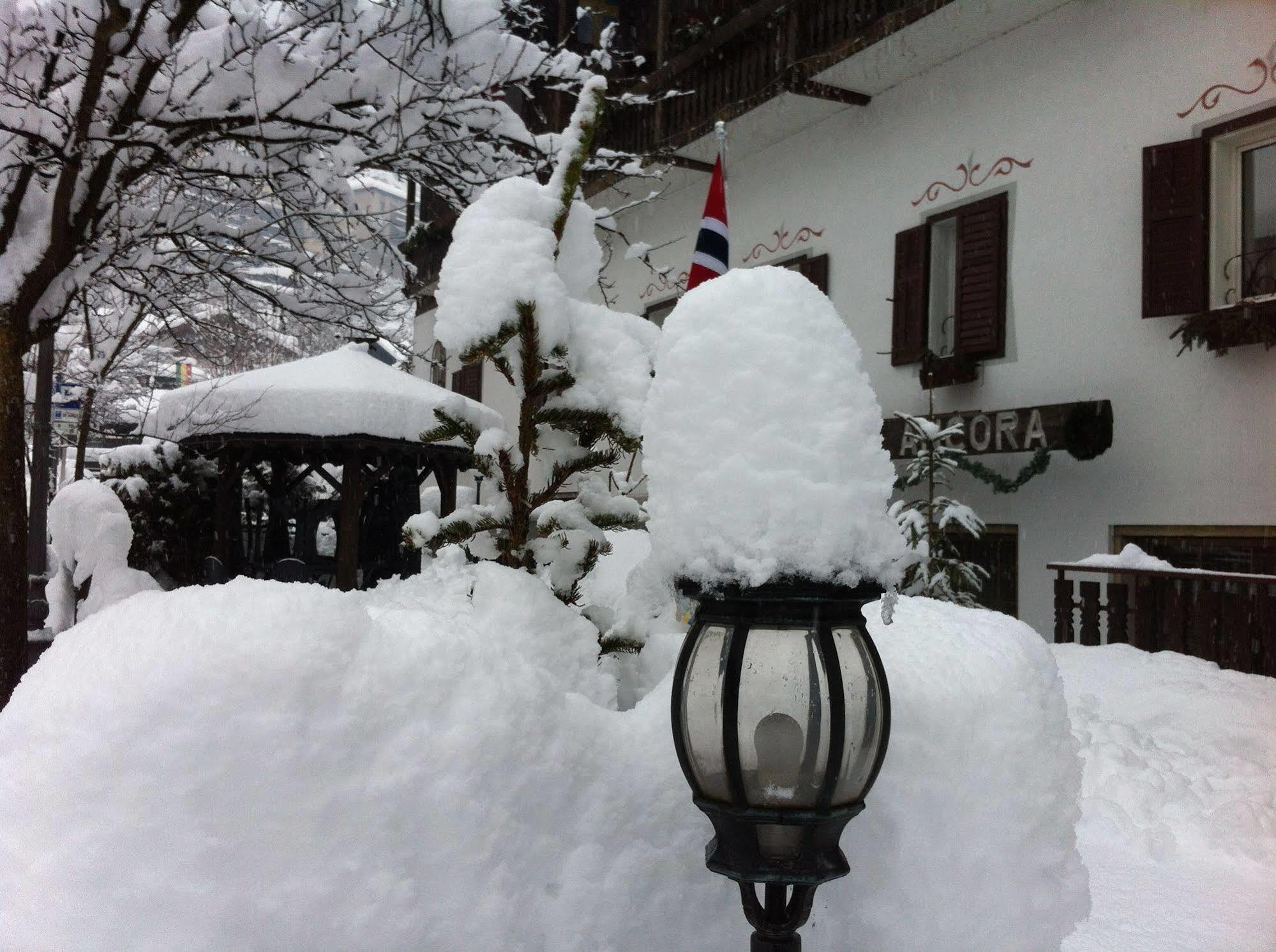 Hotel Ancora Castello–Molina di Fiemme Kültér fotó